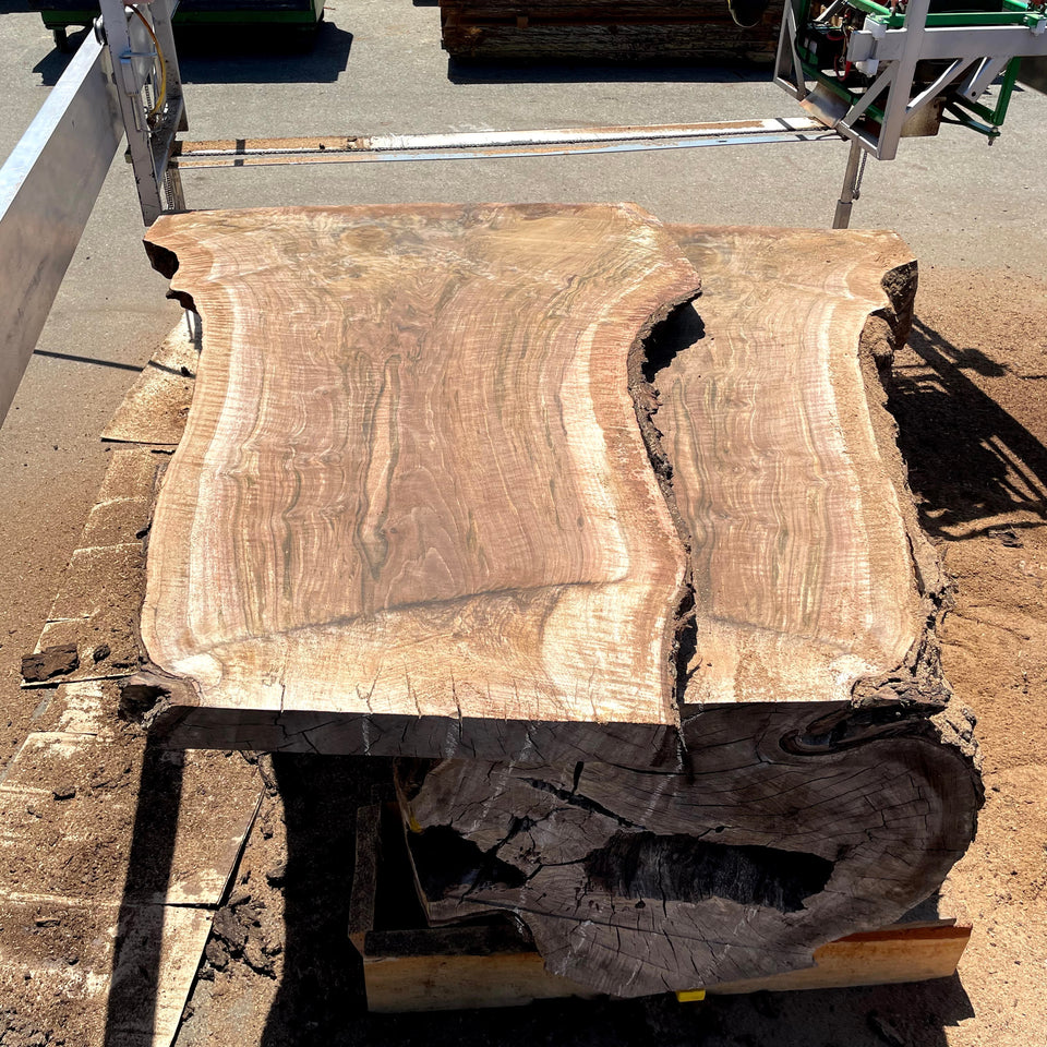 Live edge claro walnut slabs portable sawmill