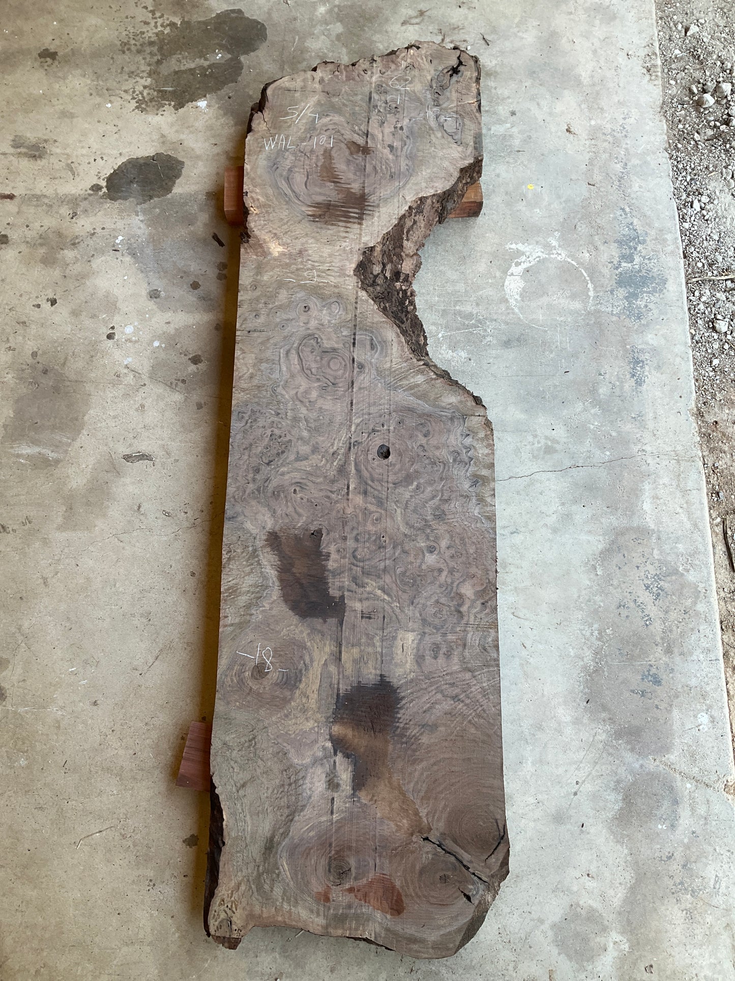 Claro Walnut burl billet Wal-101