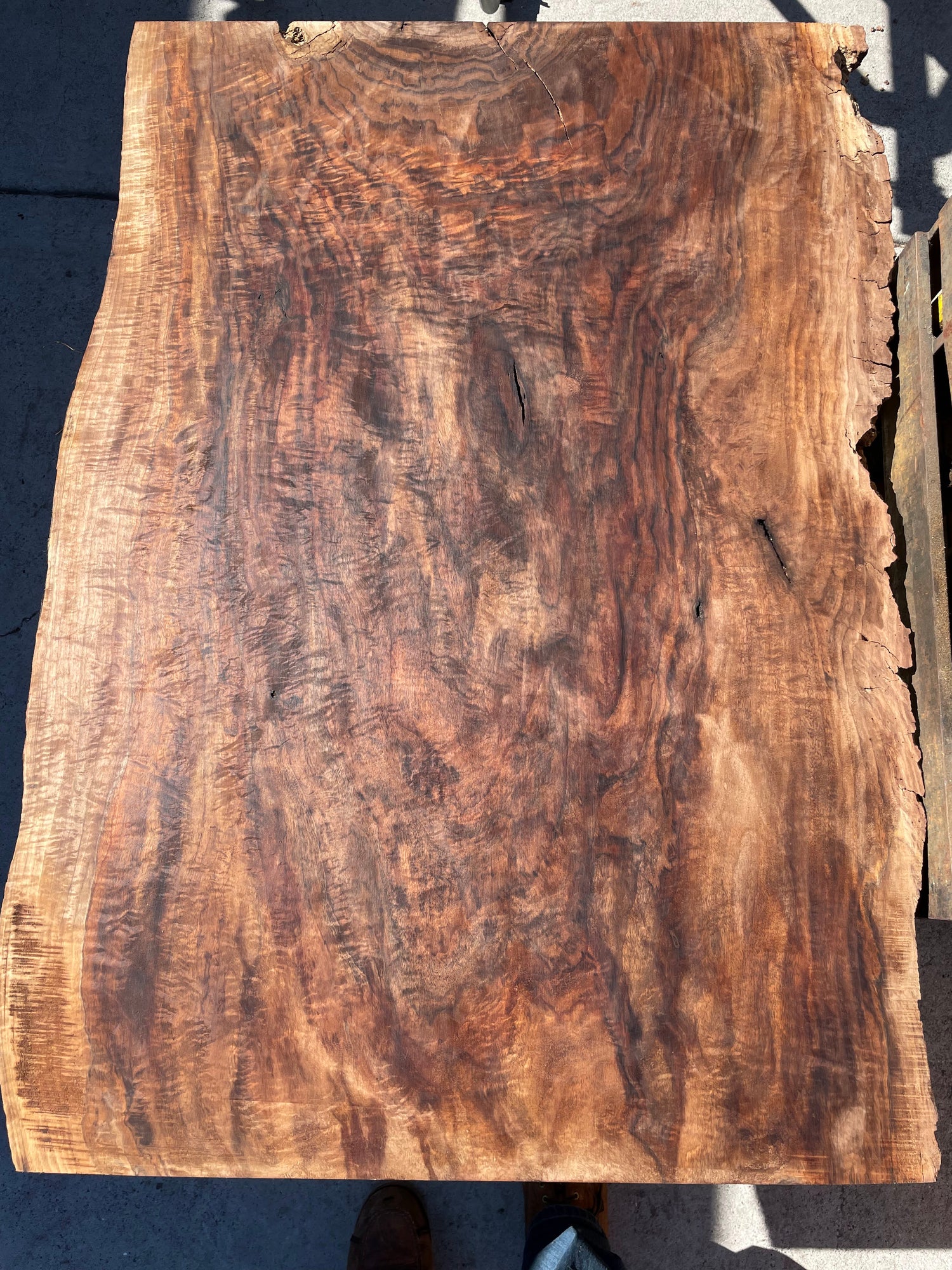 All live edge slabs