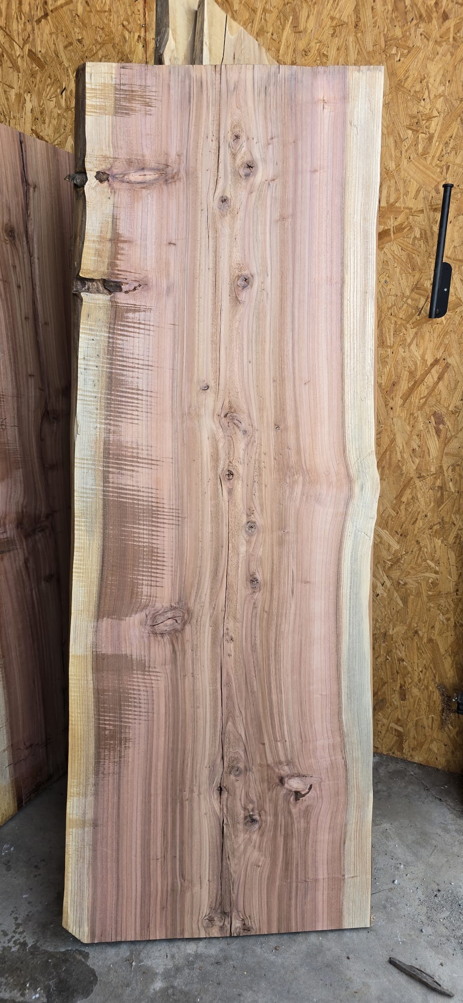 Redwood slab RWD-106