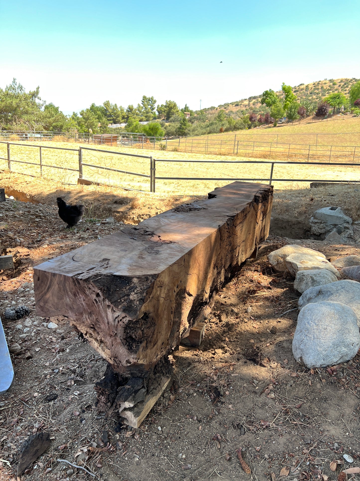 Timber benches