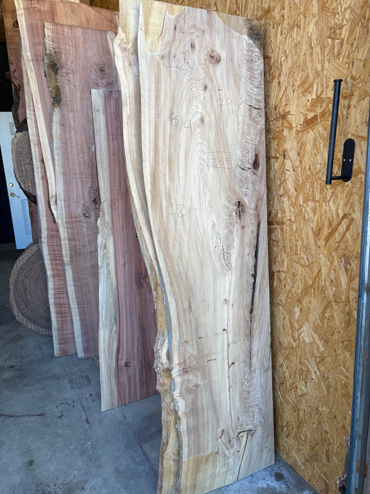 Elm slab 0015