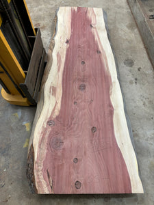 Giant sequoia live edge slab GSQ-048