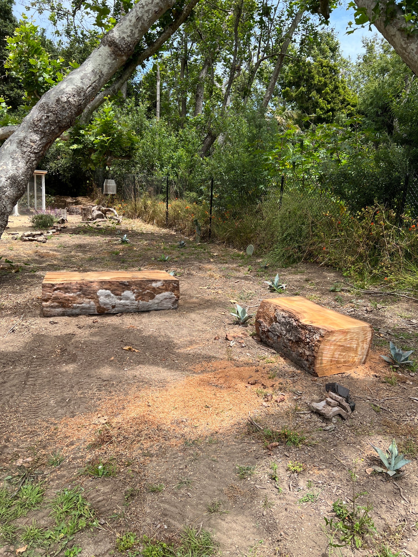 Log benches