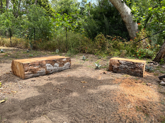 Log benches