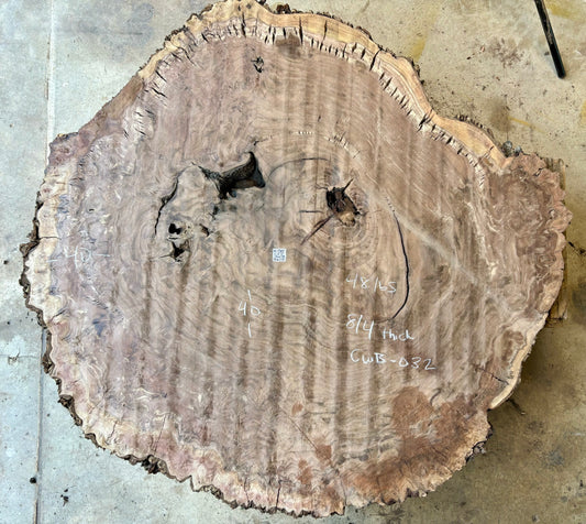 Claro walnut burl cookie CWB-032