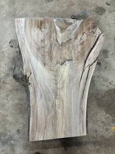 Live edge English walnut slab WAL-064