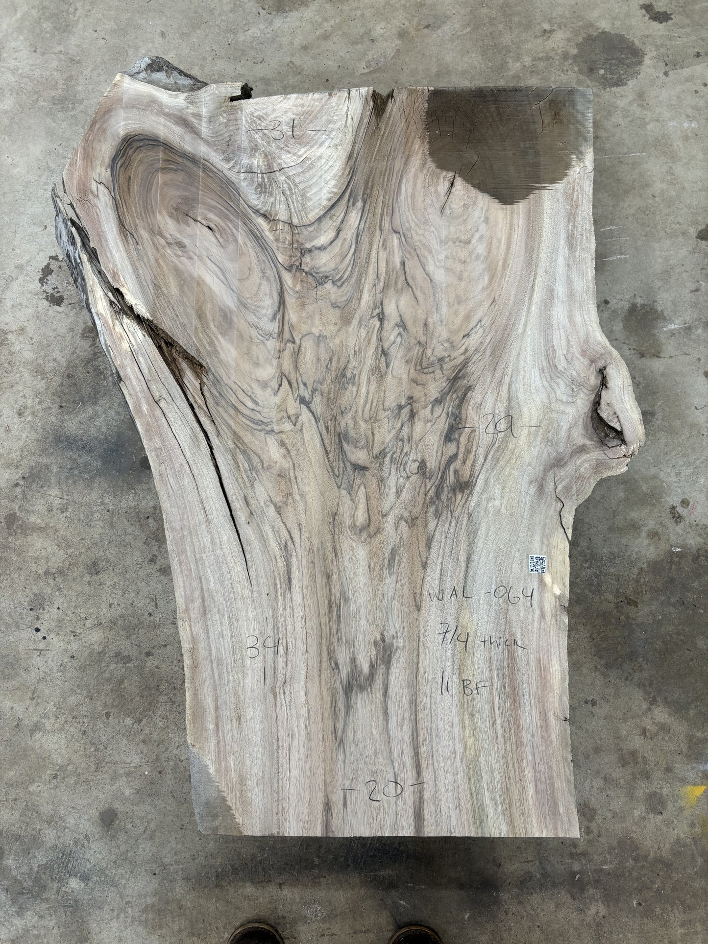 Live edge English walnut slab WAL-064