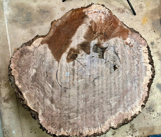 Claro walnut burl cookie CWB-030