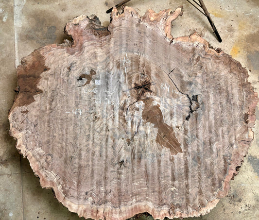 Claro walnut burl cookie CWB-031