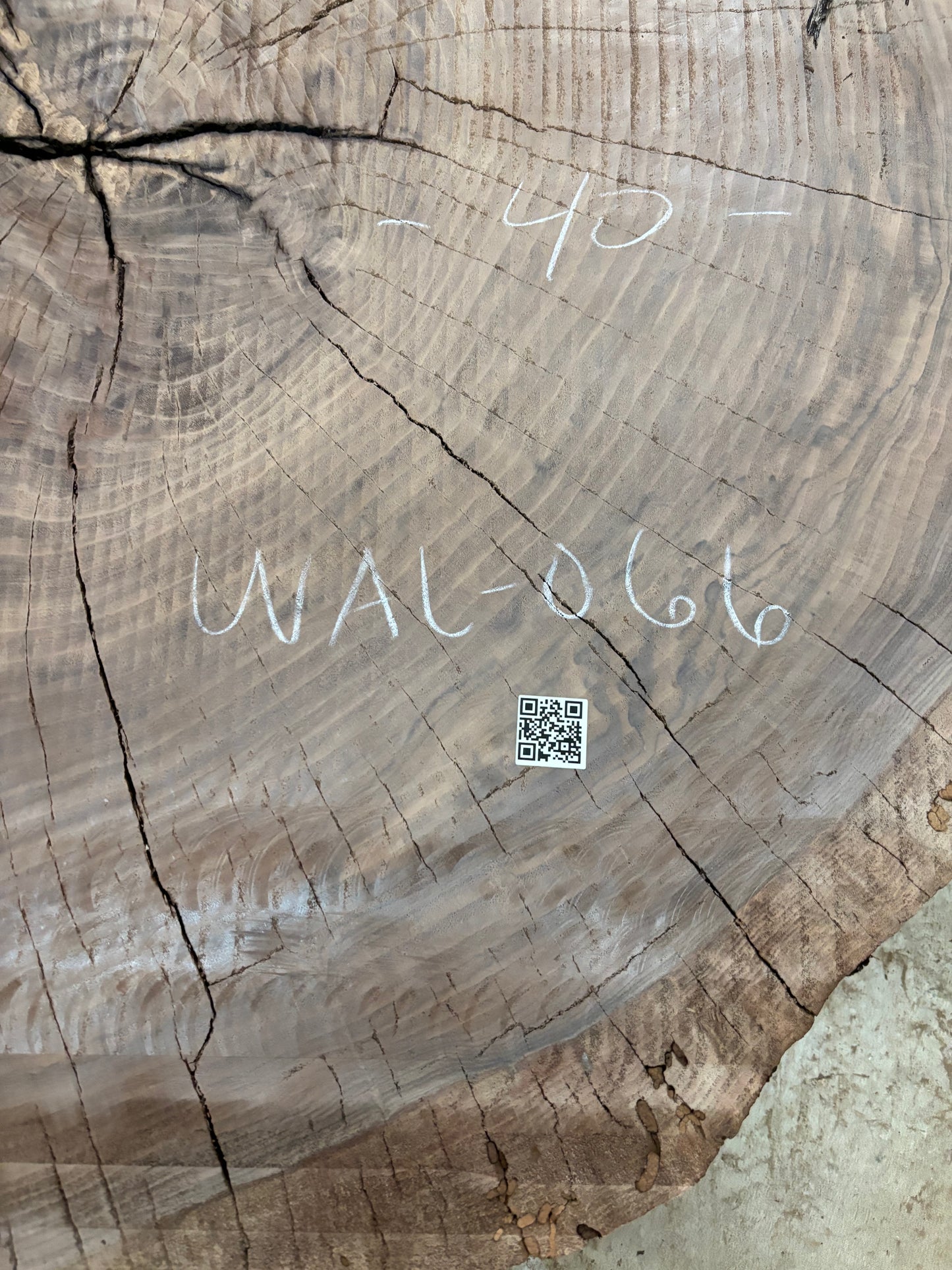 Claro walnut cookie WAL-066