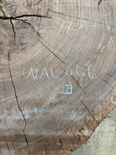 Load image into Gallery viewer, Claro walnut cookie WAL-066
