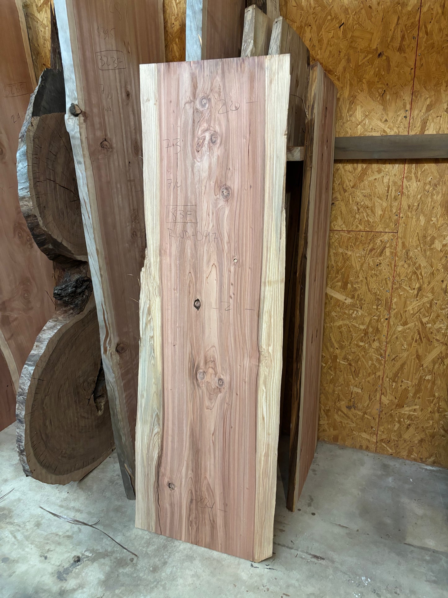 Redwood slab RWD-097