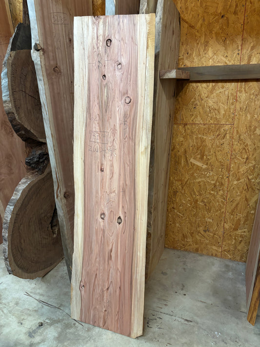 Redwood slab RWD-098