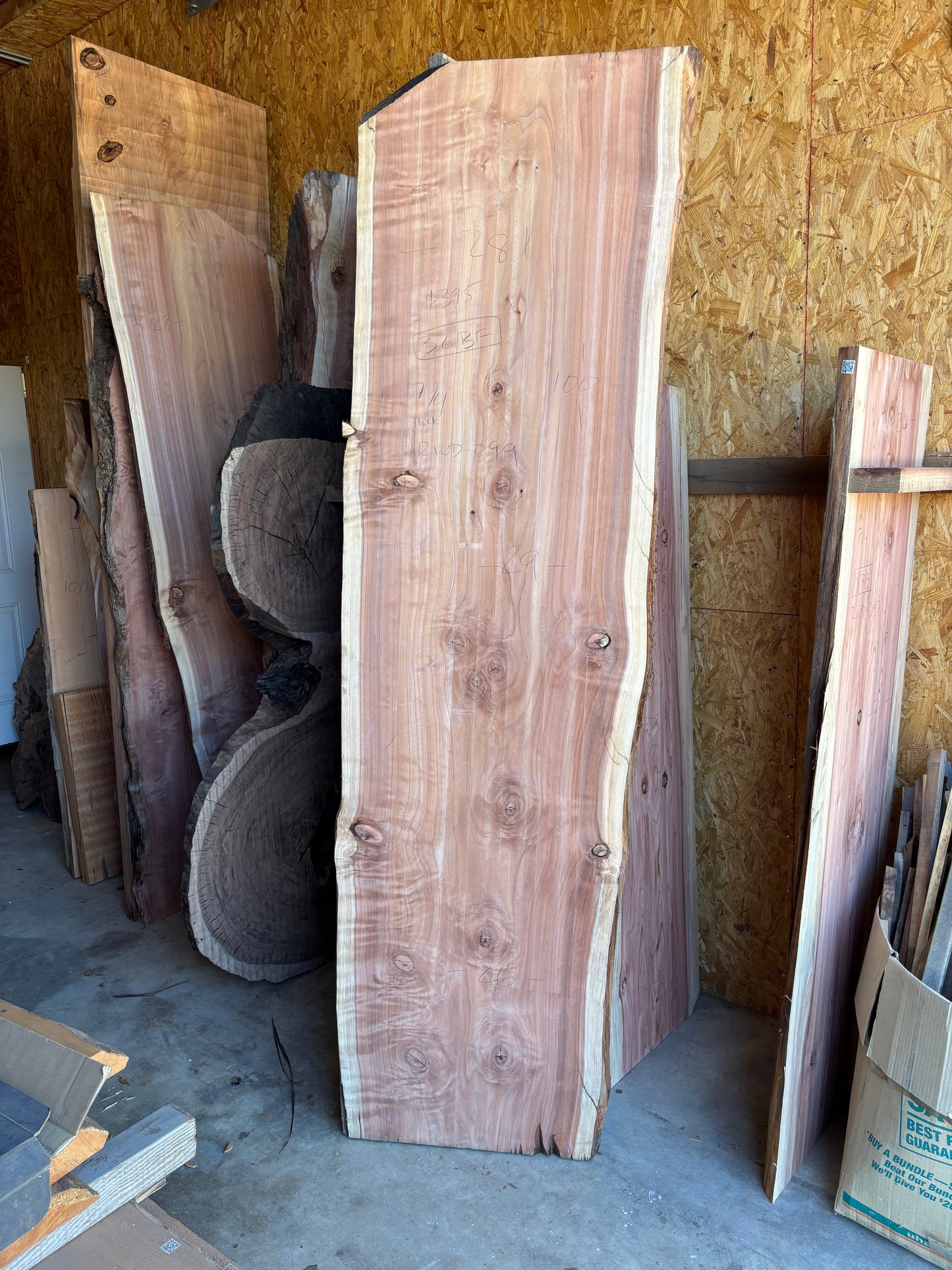 Redwood slab 2A-3