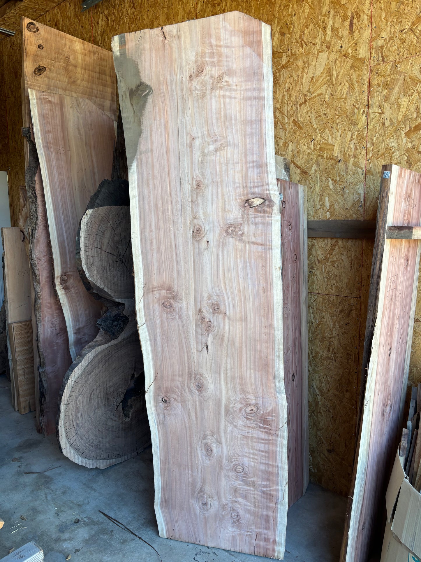 Redwood slab 2A-3