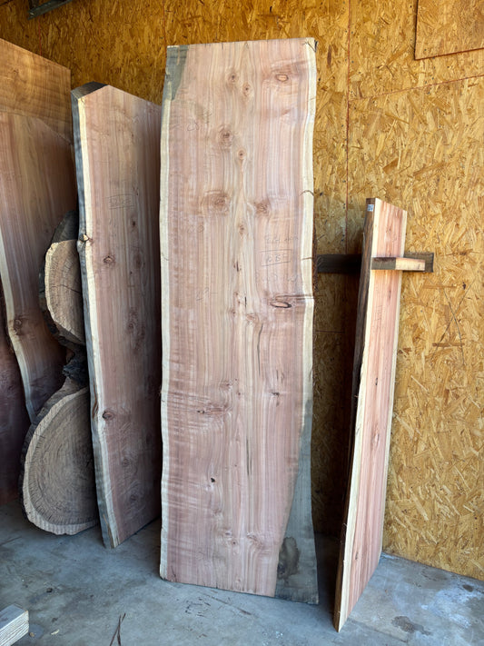 Redwood slab 2A-4