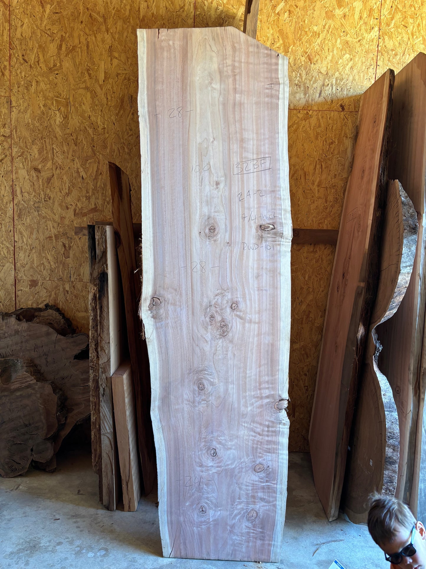 Redwood slab 2A-2