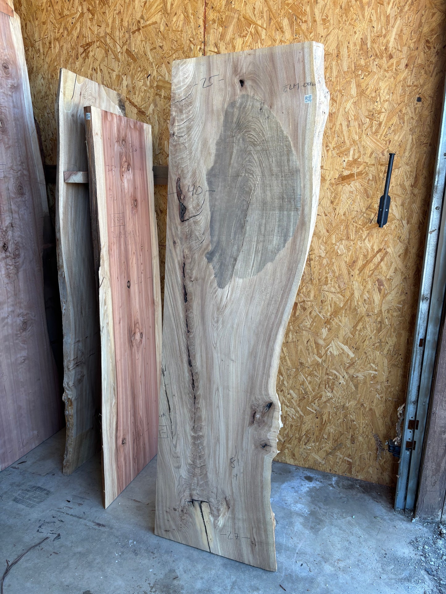 Elm slab 0016