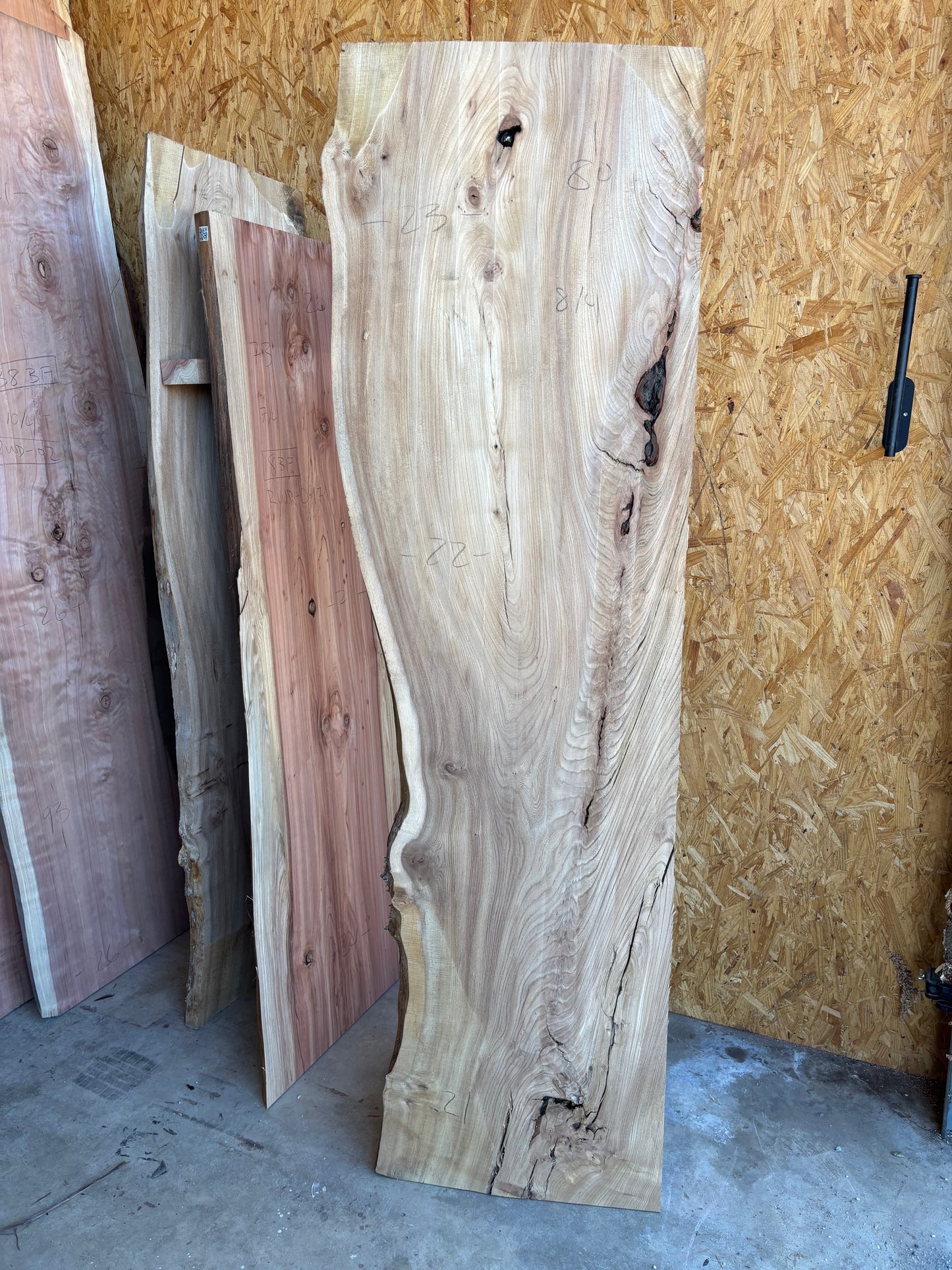 Elm slab 0016