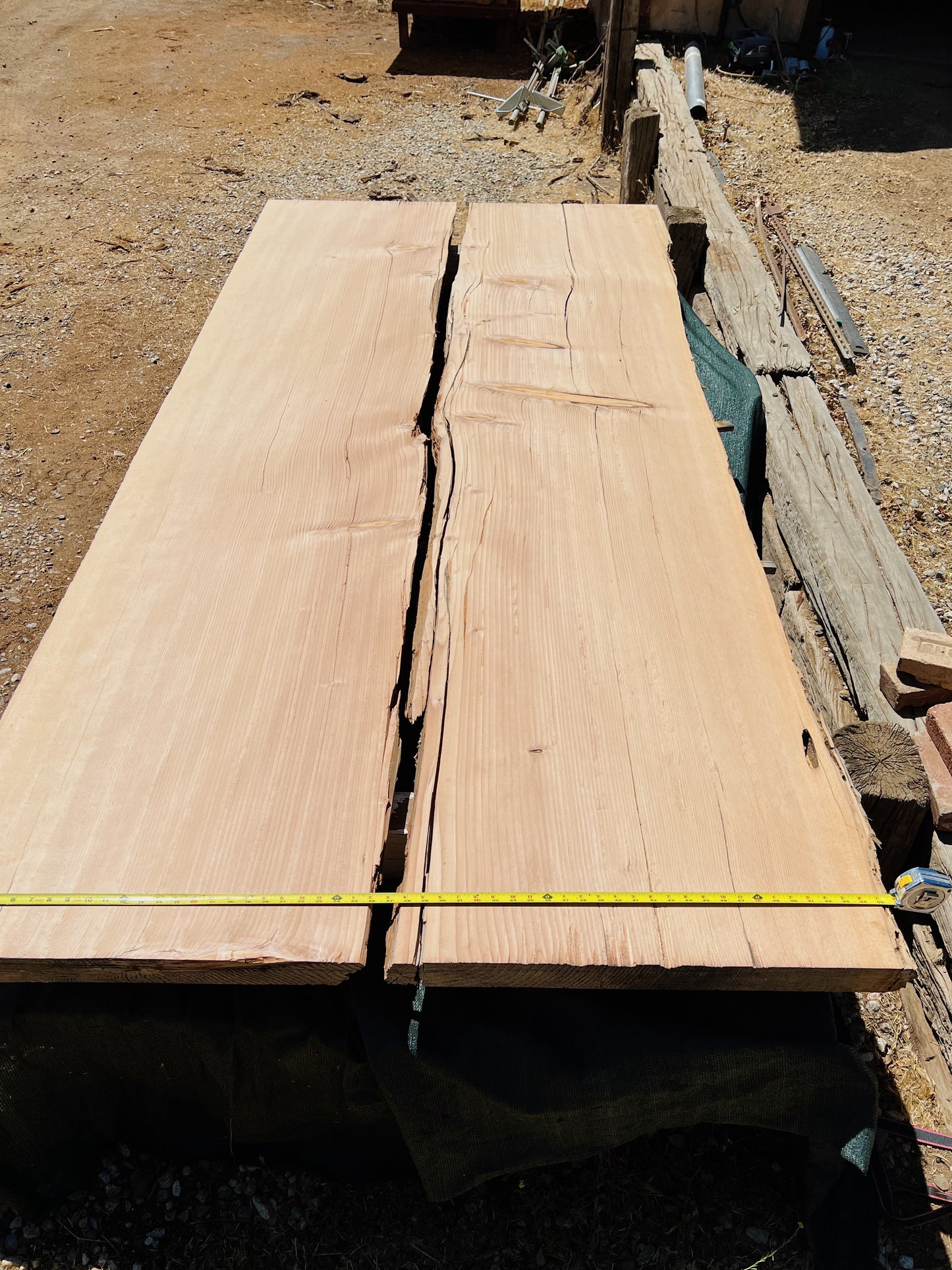 Old growth douglas fir slab FIR-019B salvaged from Exploratorium