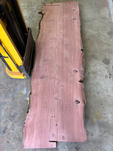 Giant sequoia live edge slab GSQ-011