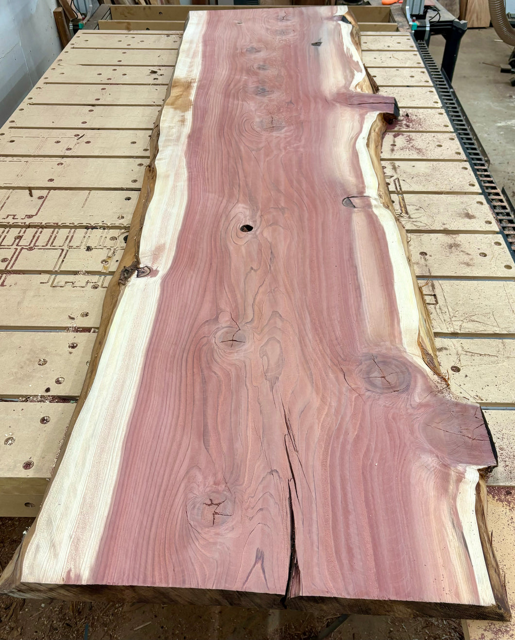 Giant sequoia live edge slab GSQ-049