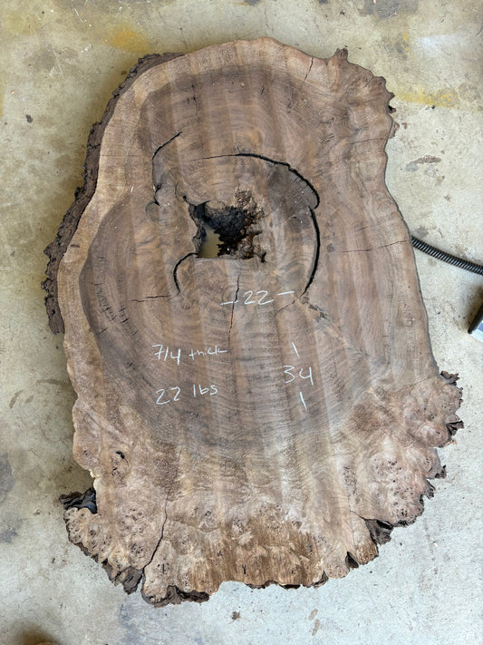 Claro walnut burl cookie CWB-005