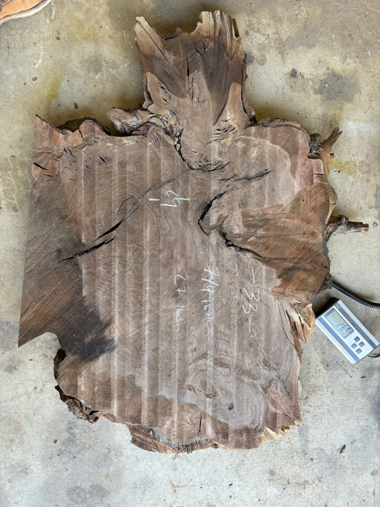 Claro walnut burl cookie CWB-006