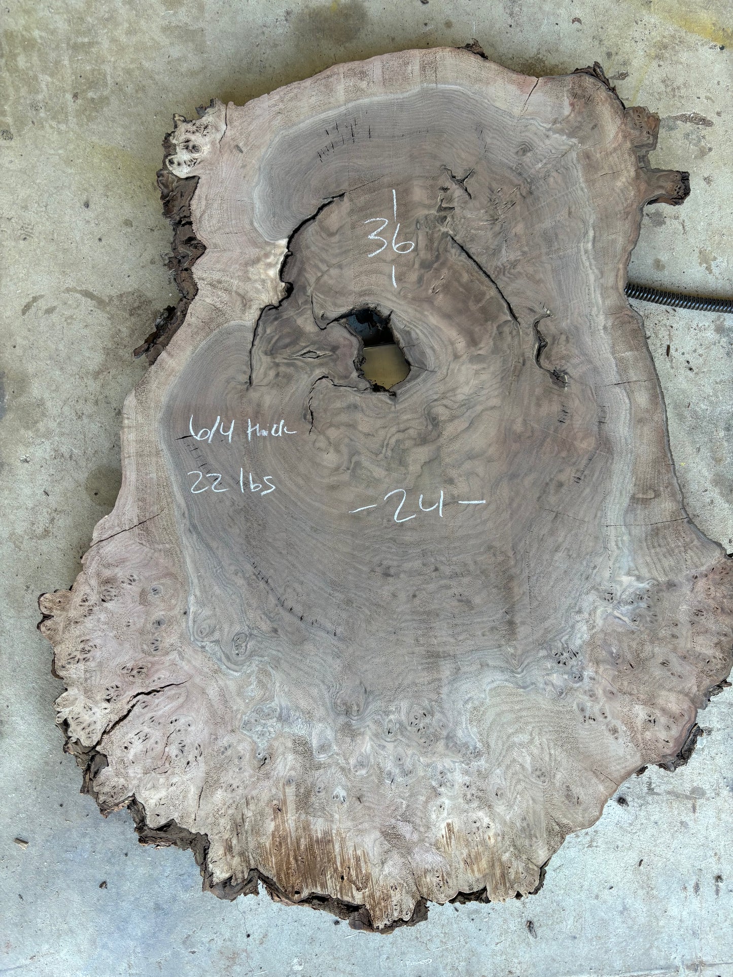 Claro walnut burl cookie