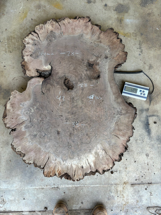 Claro walnut burl cookie