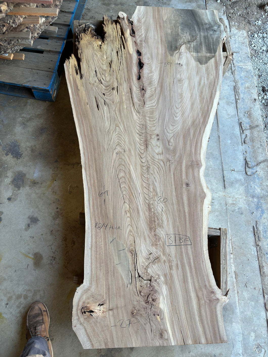 Elm slab 0014