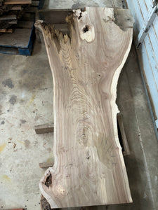 Elm slab 0013