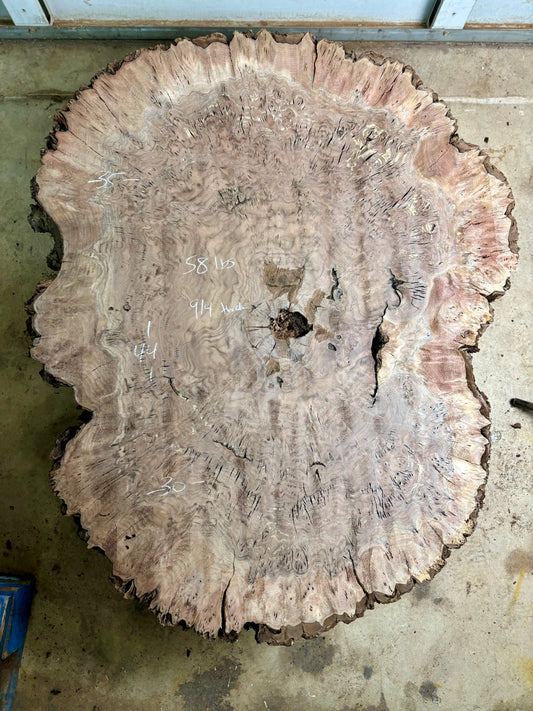 Claro walnut burl cookie