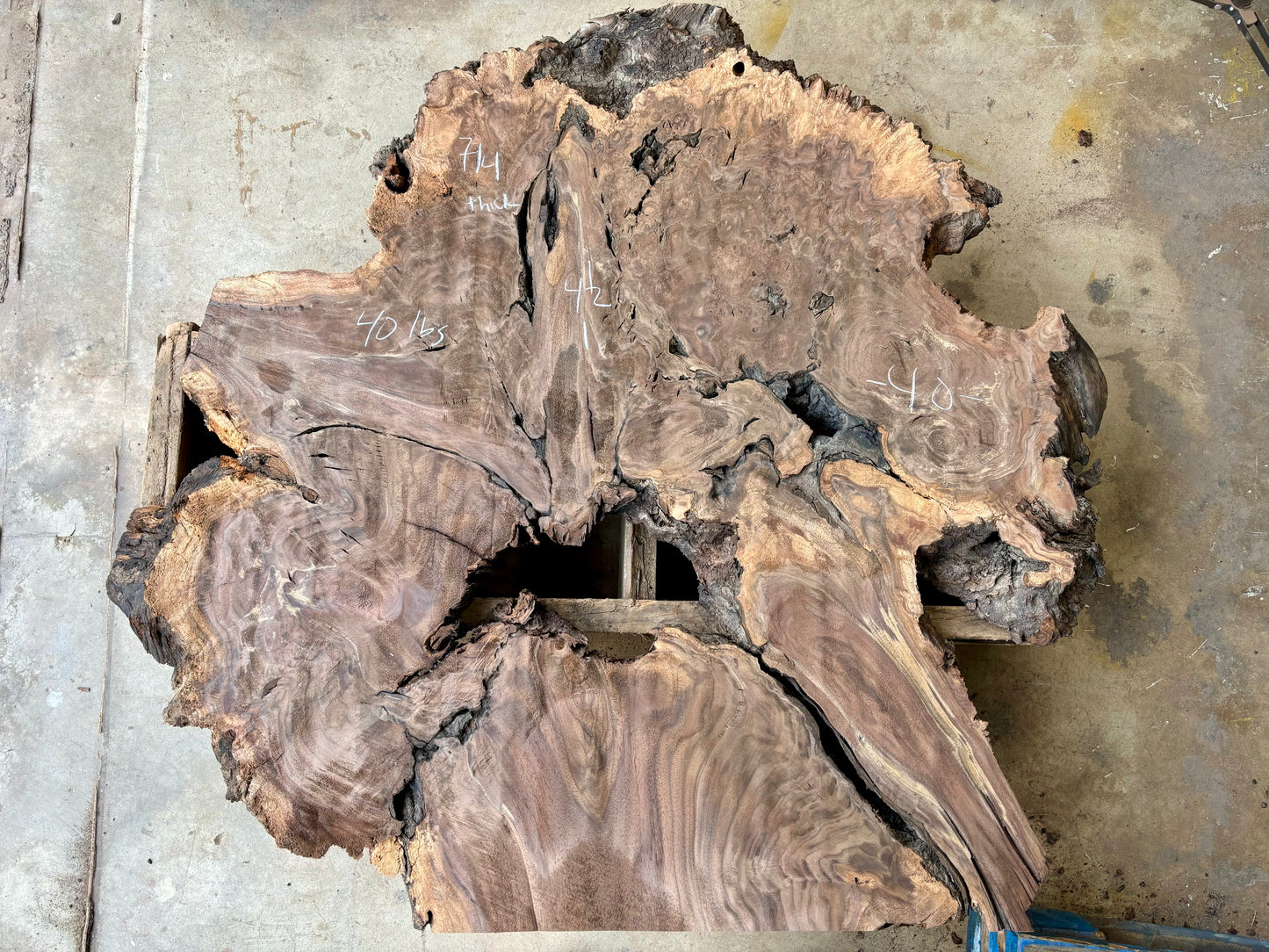 Claro walnut burl cookie CWB-0017