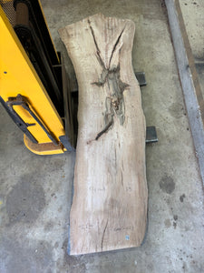 Live edge oak slab OAK-033