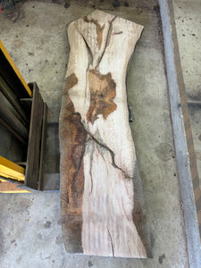 Live edge oak slab OAK-033