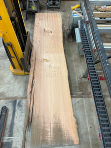 Old growth douglas fir slab FIR-052 salvaged from Exploratorium