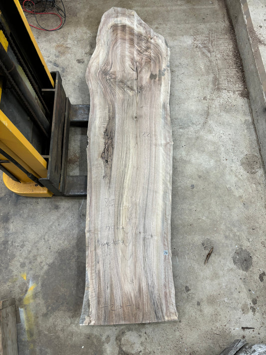 Live edge English walnut slab WAL-054
