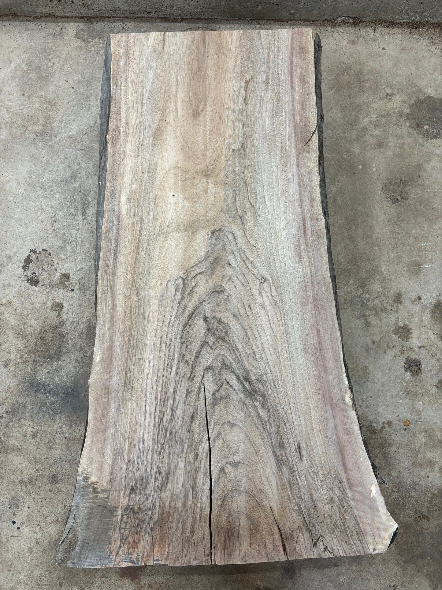 Live edge English walnut slab WAL-063