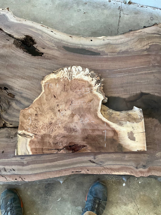 Cottonwood   49-Cot01