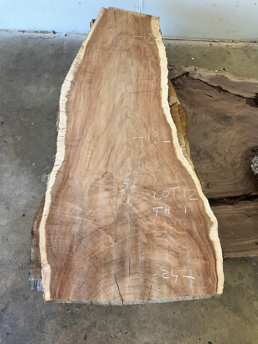 Cottonwood   49-Cot12