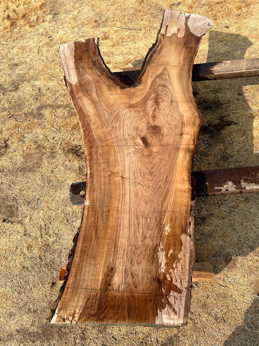 English Walnut Slab 20-1