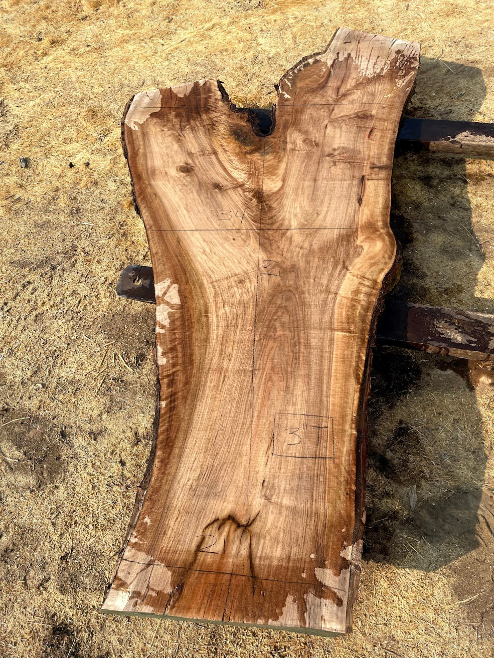 English Walnut Slab 20-3