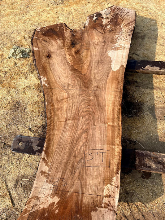 English Walnut Slab 20-4