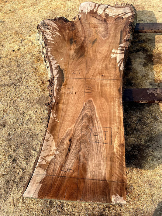 English Walnut Slab 20-5