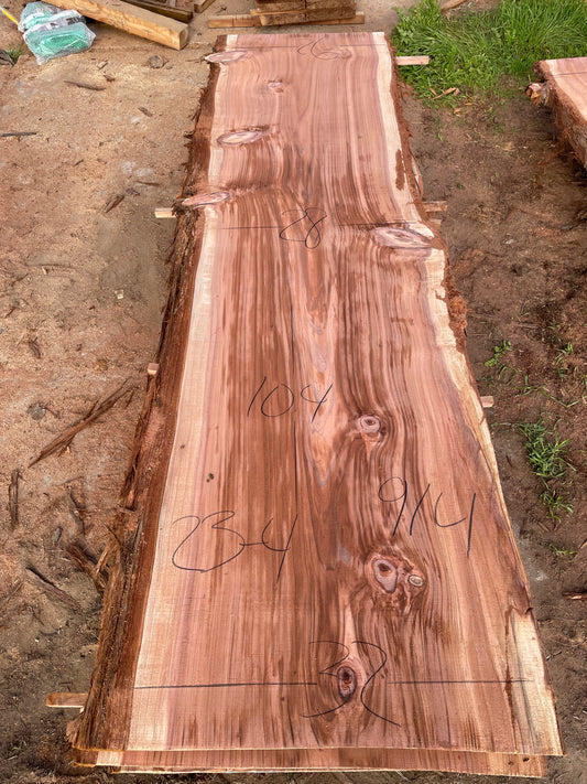 Coastal Redwood Slab 23-4