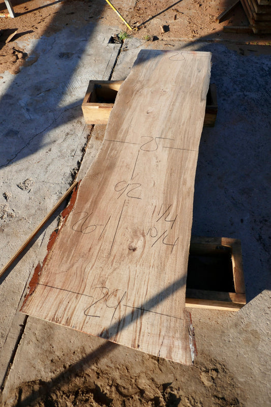 Ponderosa Pine slab 26-1