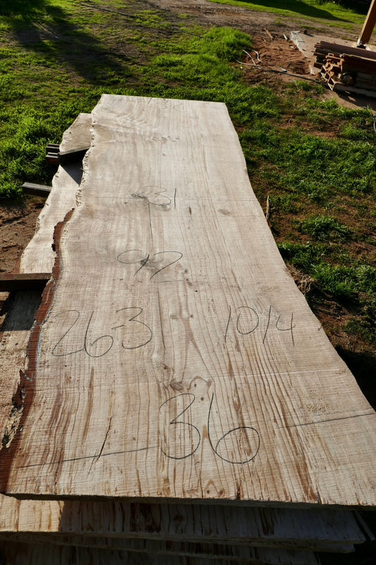 Ponderosa Pine slab 26-3