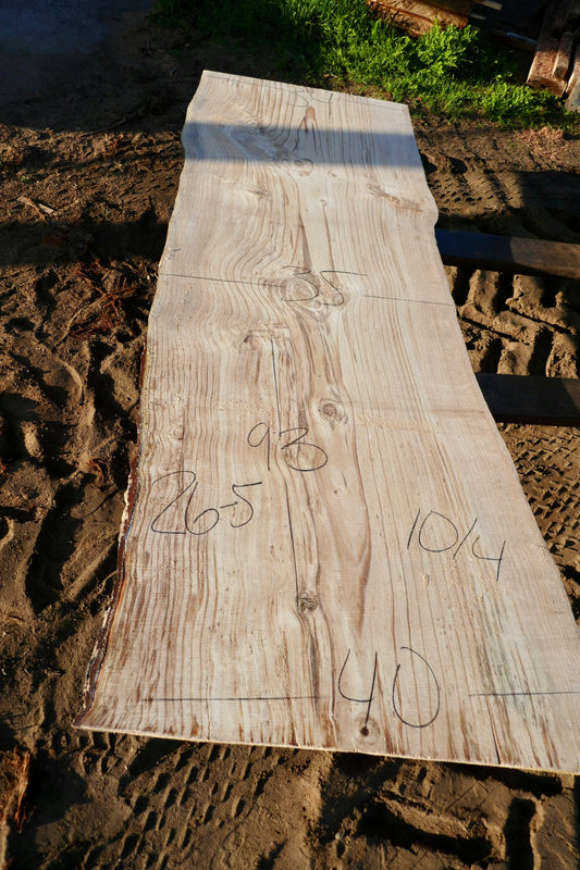 Ponderosa Pine slab 26-5